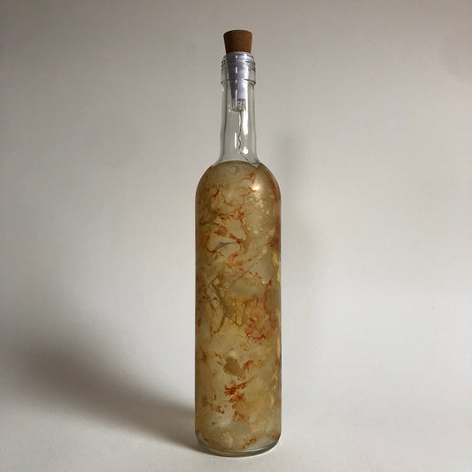 Upcycled Wine Bottle Lantern - Watermelon Edition